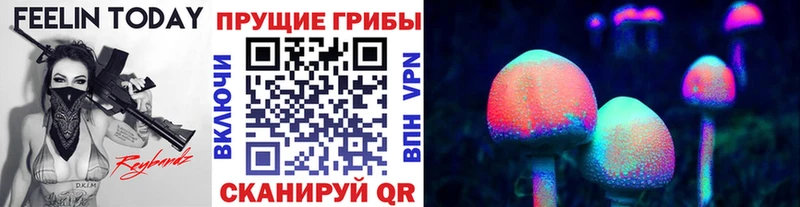 Псилоцибиновые грибы ЛСД  Калининград 